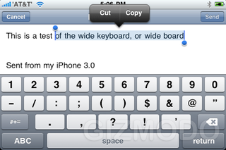 Illustration for article titled iPhone 3.0 Beta OS Impressions And Walkthrough Gallery